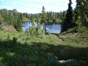 Clear Lake, one of Seven Small Lakes in a Glacial Basin high on the Olympic Peninsula | Soundview Cottage